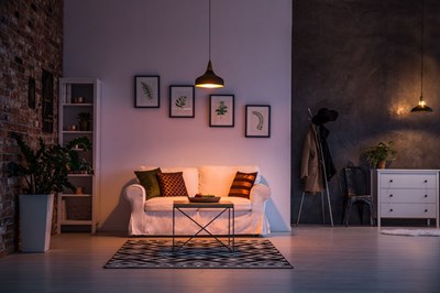 Weißes und graues Wohnzimmer mit Holzboden und gemustertem Teppich